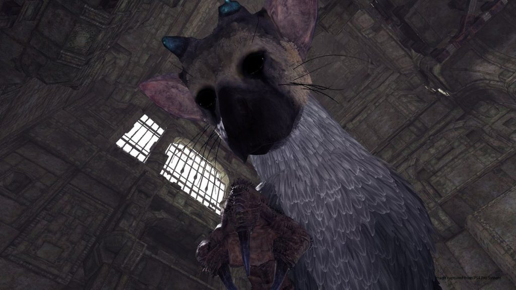 【PSX 2017】『人喰いの大鷲トリコ』がVRに。「The Last Guardian VR Demo」が12月12日に配信