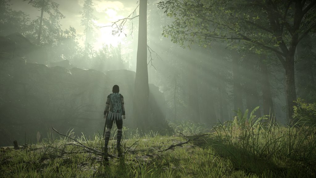 PS4『ワンダと巨像』、フォトモードが公開