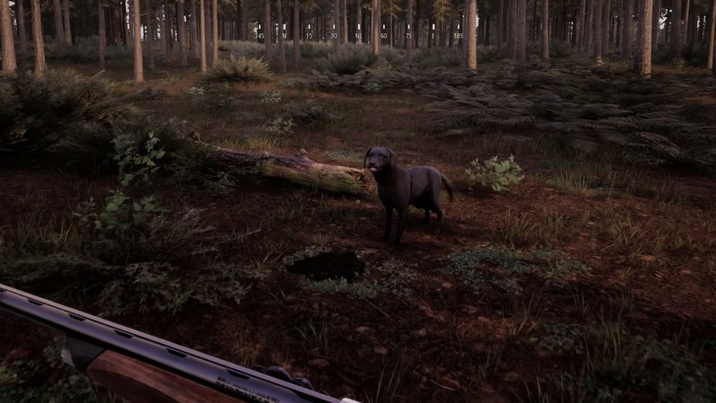 狩猟シム『Hunting Simulator 2』、狩猟犬を紹介するトレーラーを公開