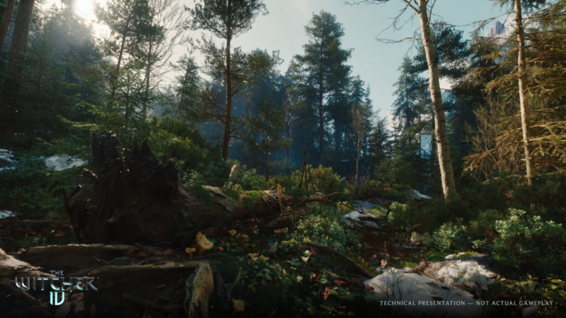 『ウィッチャー4』がPS5でリリース決定。UE5技術デモが公開の画像3