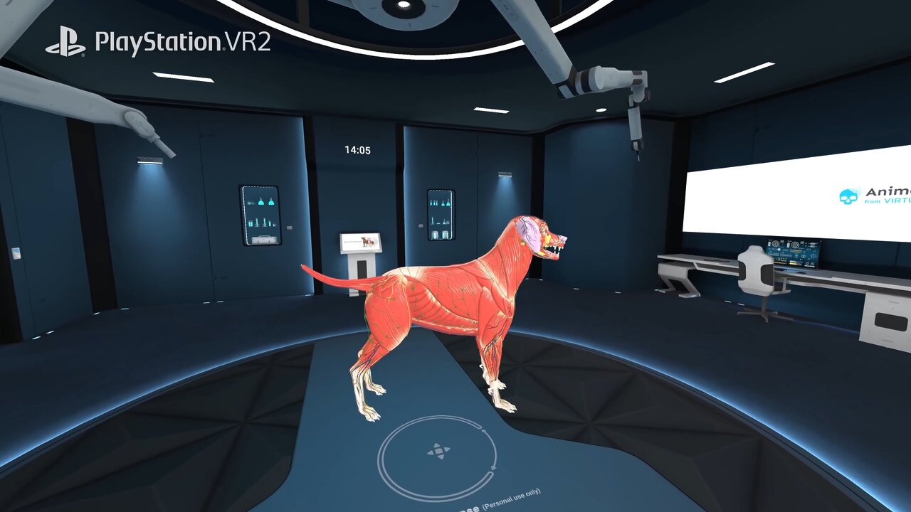 『Animal Anatomy VR』がPS VR2向けにリリースの画像1