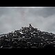 『風燕伝：Where Winds Meet』の最新トレーラーを公開の画像1